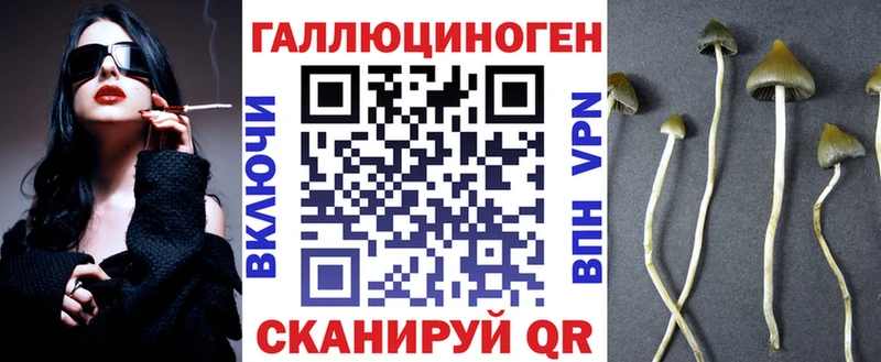цена   Заполярный  Галлюциногенные грибы MAGIC MUSHROOMS 